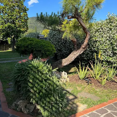 Casa Oasi Nel